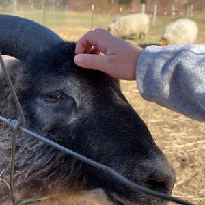 Meet your Posher, Nichole